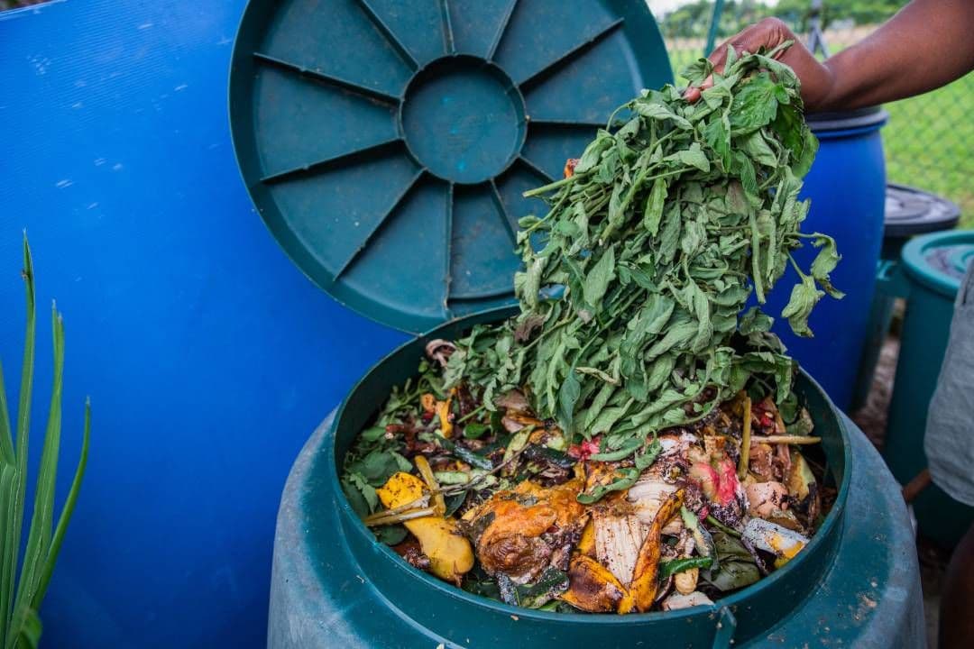 How Food Waste Recycling Could Save You on Fees