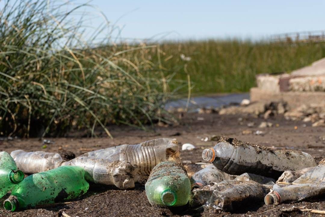 The Environmental and Economic Impact of Illegal Dumping – What You Need to Know