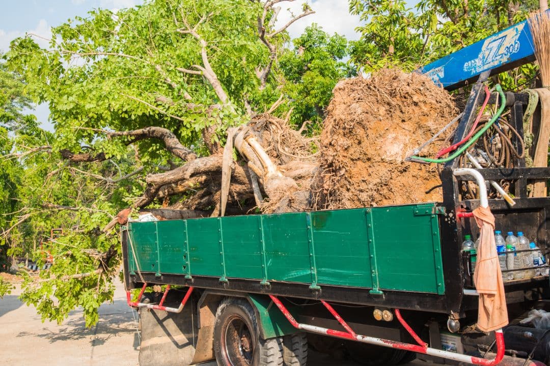 Why Recycling Construction Debris is Crucial for Sustainable Building